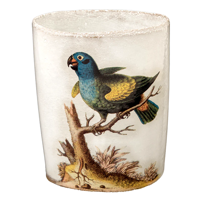 Blue Headed Parrot Cup without Handle