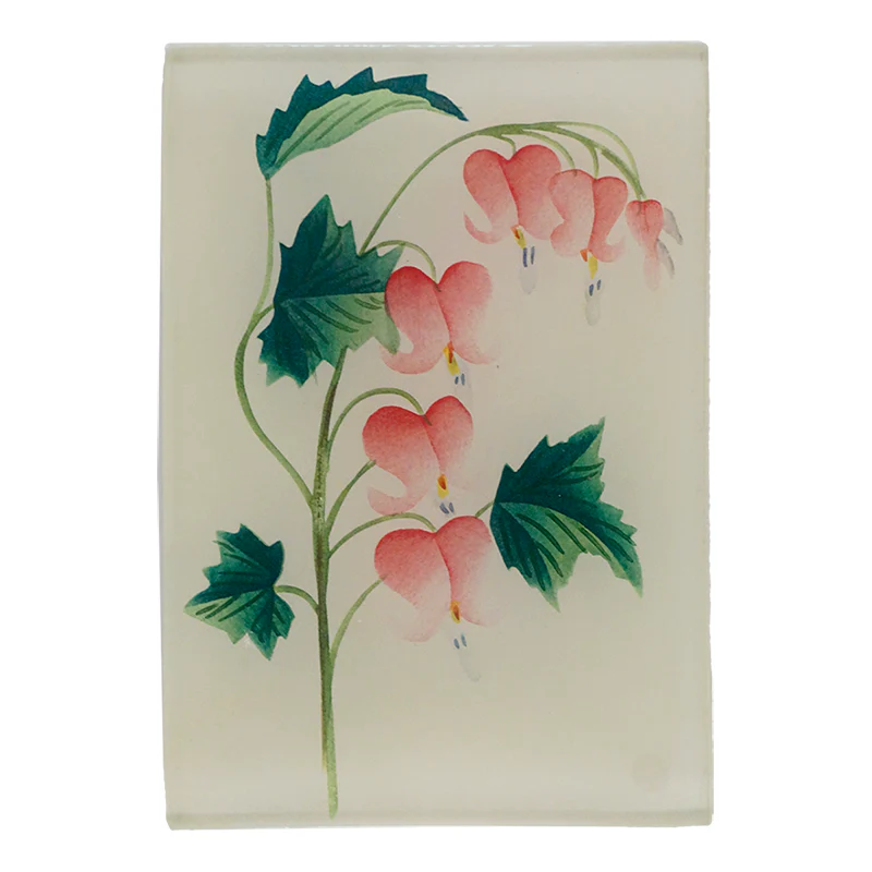 Bleeding Heart