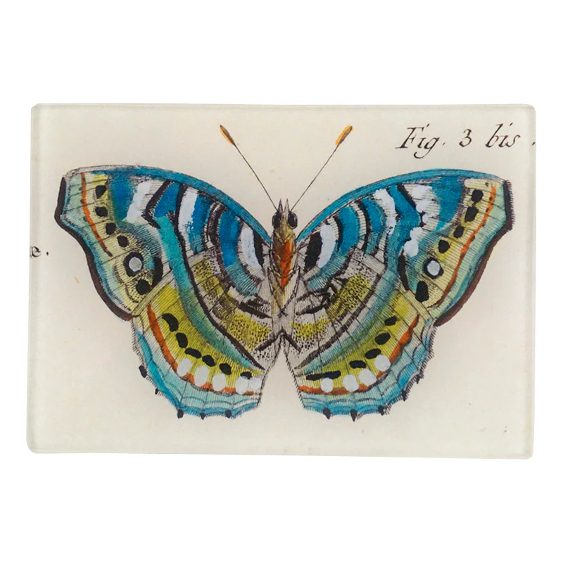 Blue Green Butterfly Fig. 3 bis
