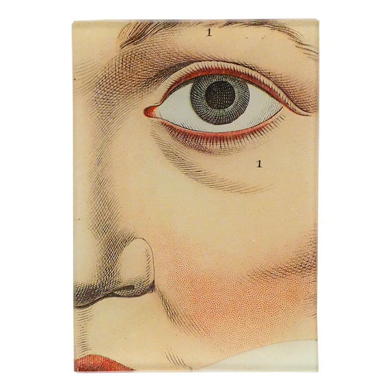 Eye 1.
