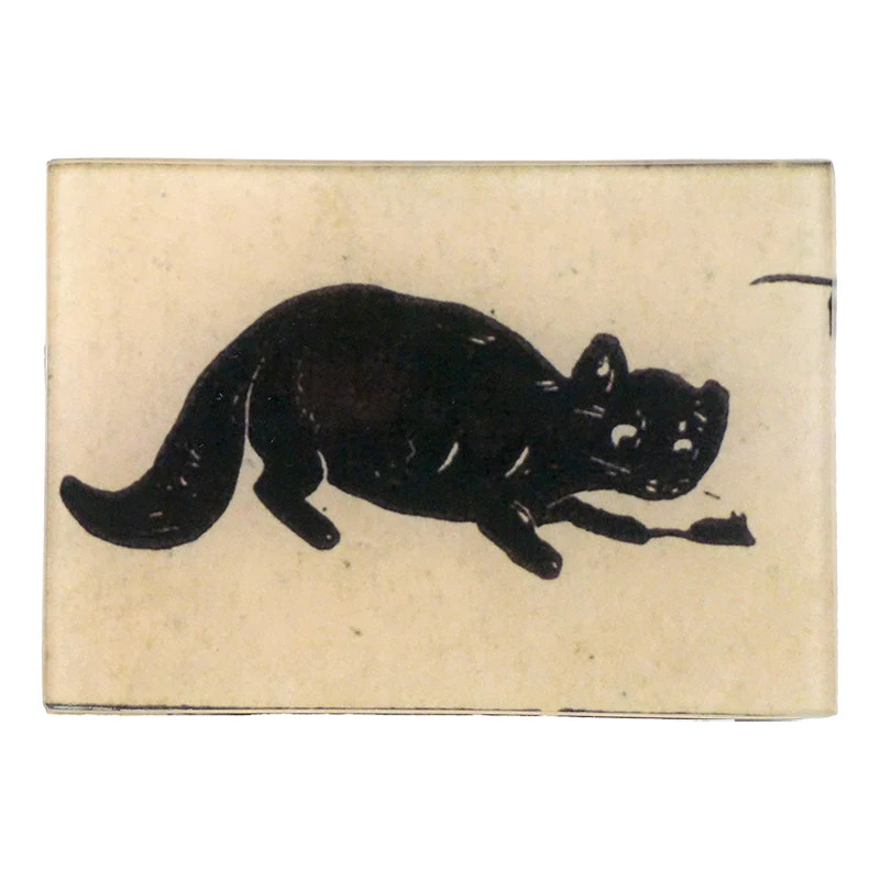 Maltese Cat (Flashcard)