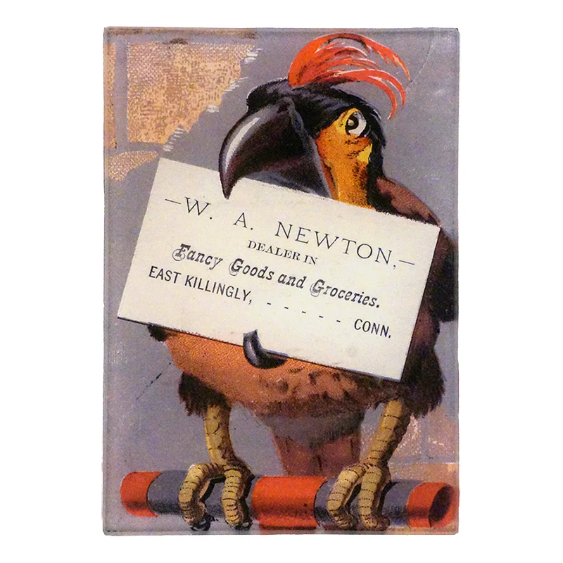 Parrot Trade Card