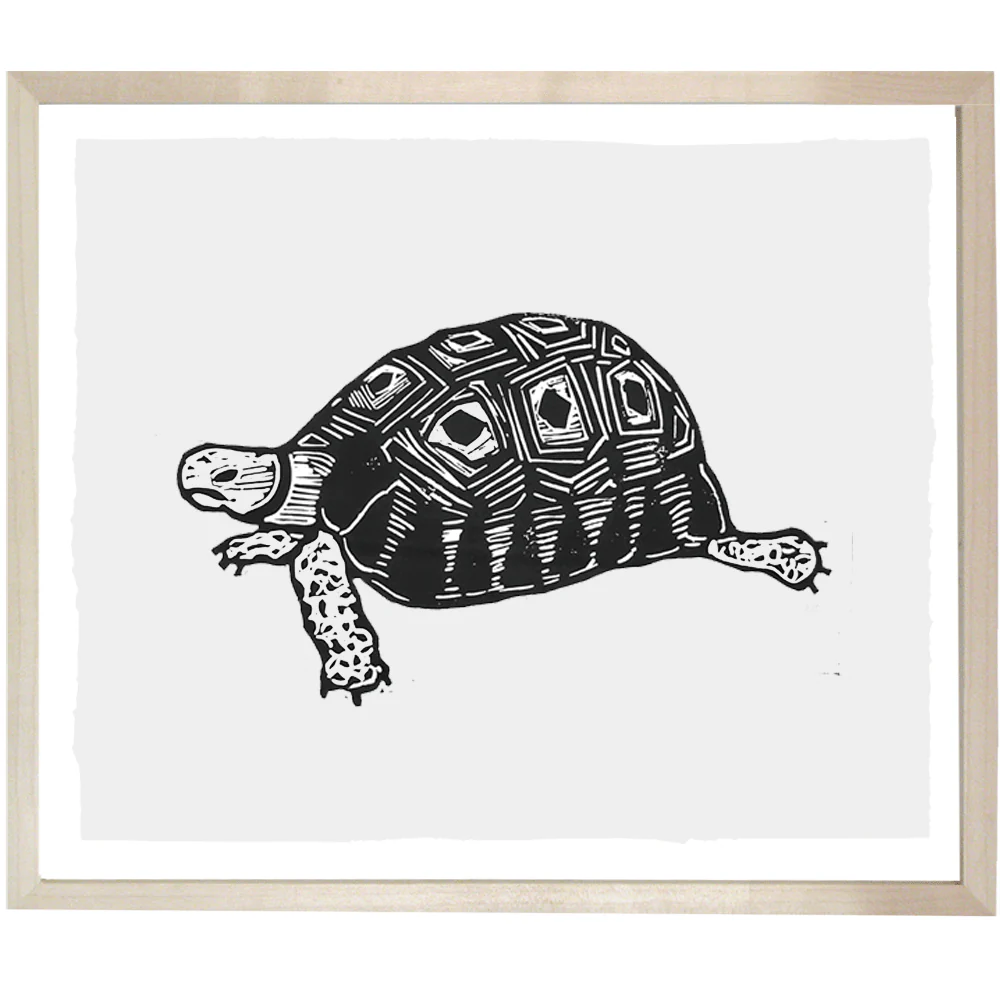 Turtle
