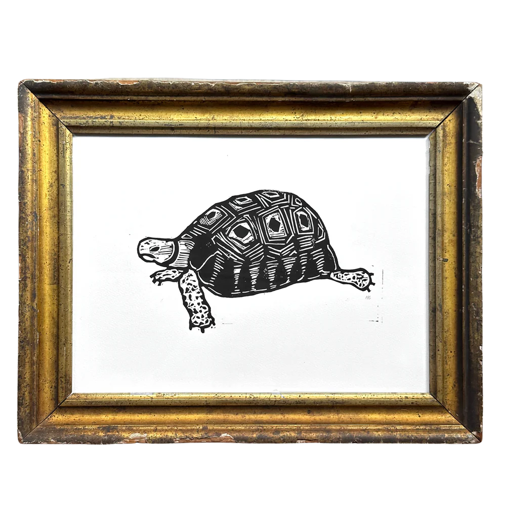 "Turtle" in a Vintage Gilded Frame