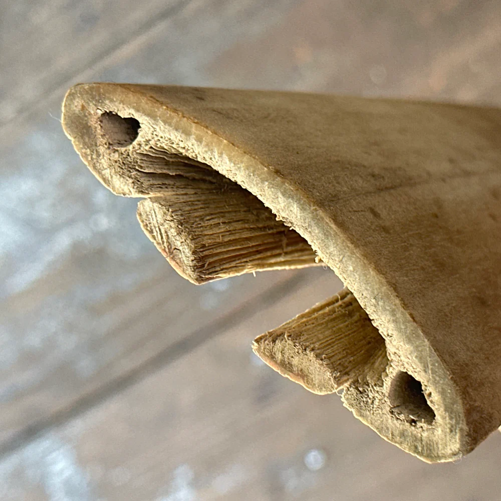 Vintage 35" Swordfish Rostrum - Image 3