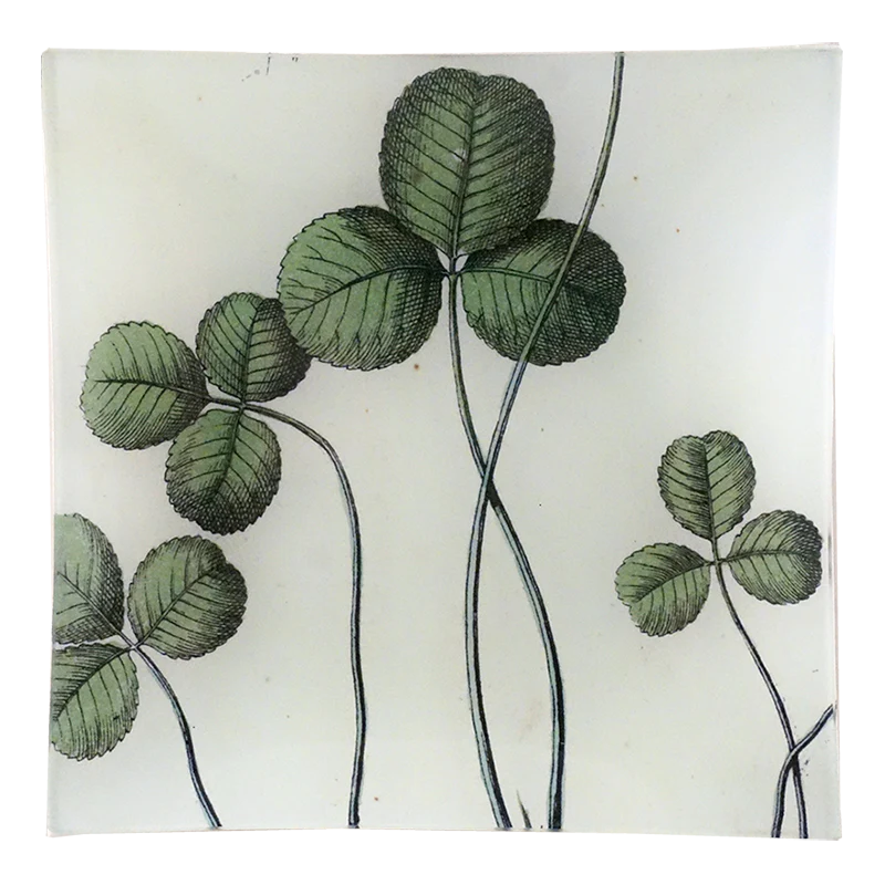 Clover