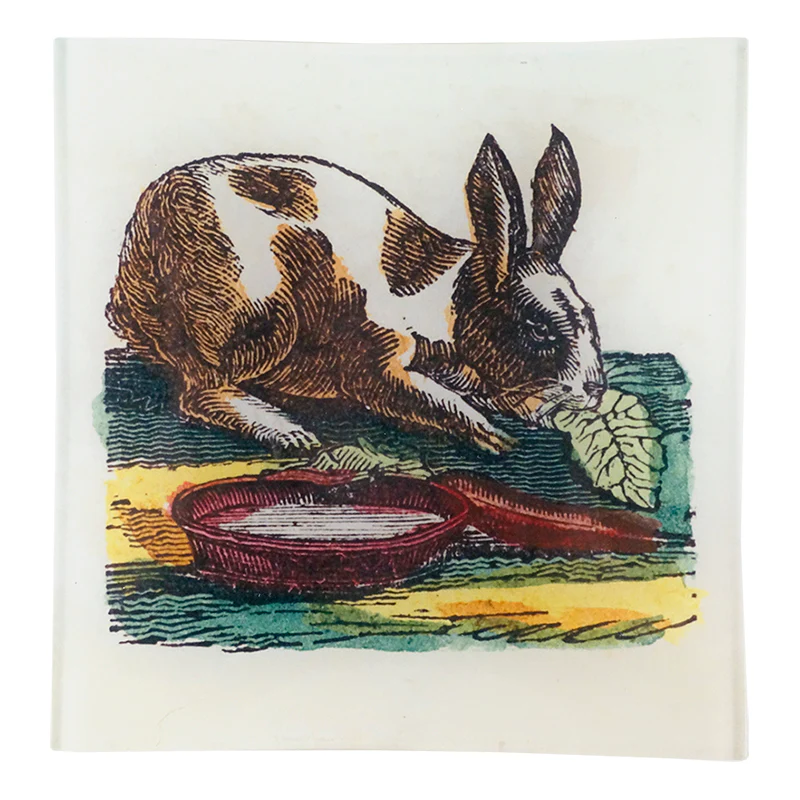 Munching Rabbit