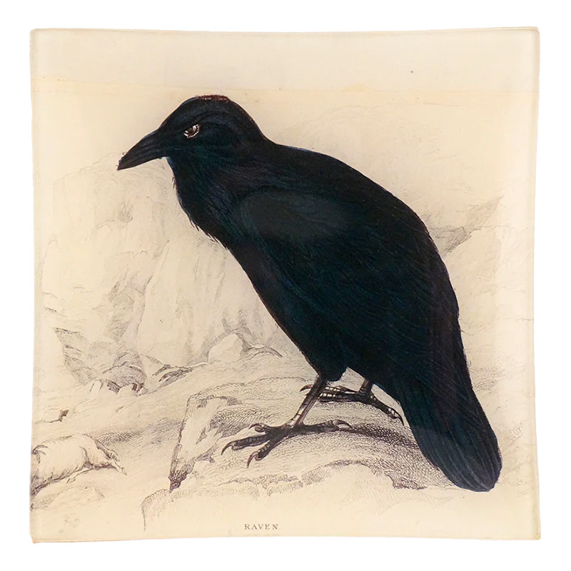 Raven