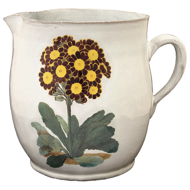 Primrose Pitcher