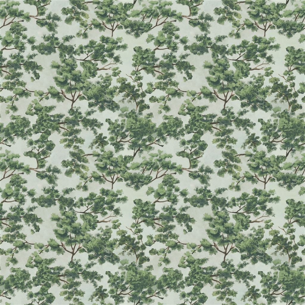 Woodland Forest
