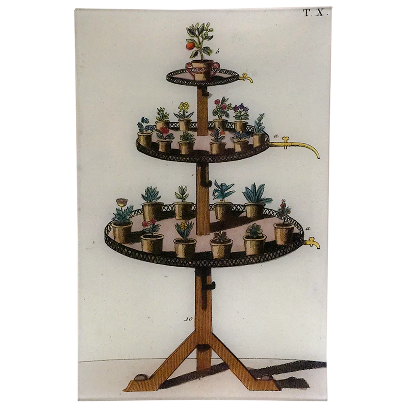 Plant Stand