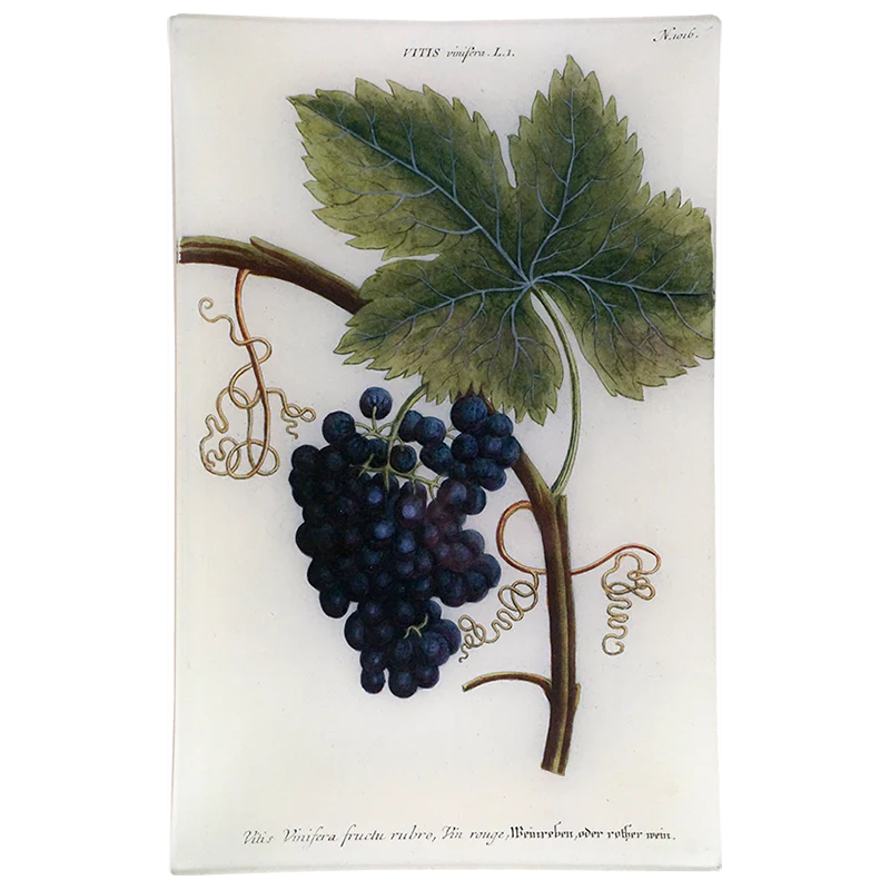 Red Grapes